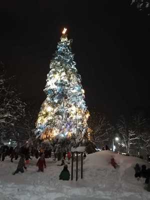 Vánoční strom na Náměstí 2023